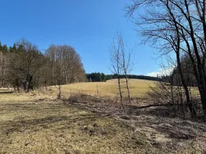 Prodej chalupy, Sněžné, 200 m2