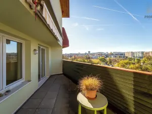 Prodej bytu 4+kk, Brno, 167 m2