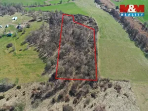 Prodej lesa, Obytce, 20042 m2