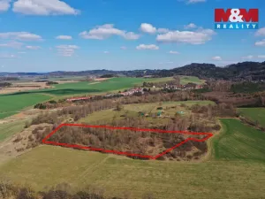 Prodej lesa, Obytce, 20042 m2