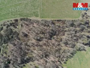 Prodej lesa, Obytce, 20042 m2