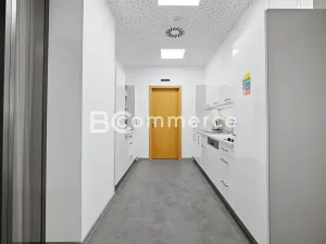 Pronájem kanceláře, Brno, Hlinky, 230 m2