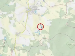 Prodej lesa, Nový Rychnov, 7440 m2