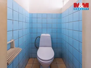 Prodej rodinného domu, Údlice, Stará Čtvrť, 200 m2