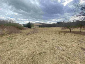 Prodej pole, Javorník, 664 m2