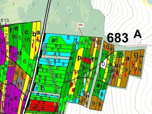 Dražba lesa, Vesce, 5196 m2