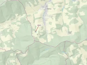 Dražba lesa, Zděchov, 2467 m2