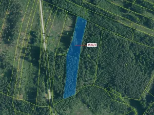 Dražba lesa, Kunžak, 8933 m2