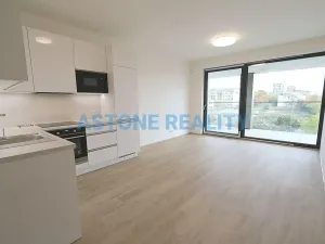 Pronájem bytu 1+kk, Praha - Žižkov, Šrámkové, 43 m2