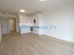 Pronájem bytu 1+kk, Praha - Žižkov, Šrámkové, 43 m2