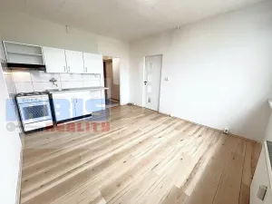 Prodej bytu 1+1, Plzeň, Nade Mží, 35 m2