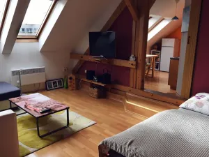 Pronájem bytu 1+1, Hradec Králové, Horova, 47 m2