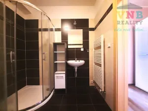 Pronájem bytu 1+kk, Olomouc, Družební, 37 m2