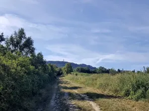 Prodej pozemku pro bydlení, Dolní Věstonice, 1941 m2