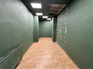 Pronájem obchodního prostoru, Brno, Kozí, 26 m2