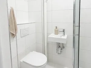 Pronájem bytu 1+kk, Praha - Vinohrady, Velehradská, 25 m2