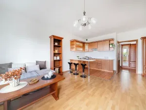 Prodej bytu 1+kk, Praha - Dolní Měcholupy, V osikách, 40 m2