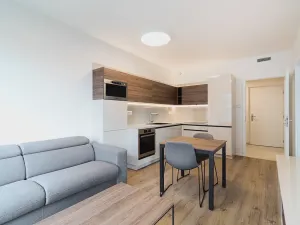 Pronájem bytu 2+kk, Praha - Strašnice, Na palouku, 47 m2