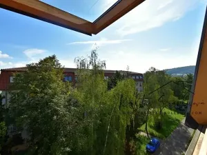 Prodej bytu 2+1, Hranice, Obránců míru, 60 m2