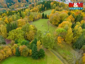 Prodej louky, Tanvald - Šumburk nad Desnou, 1589 m2
