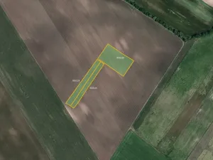 Prodej pole, Břeclav, 62435 m2