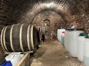 Prodej chalupy, Pincehely, Maďarsko, 64 m2