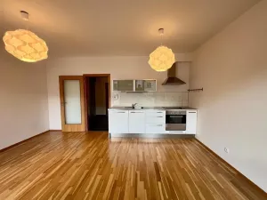Pronájem bytu 1+kk, Praha - Žižkov, Baranova, 35 m2