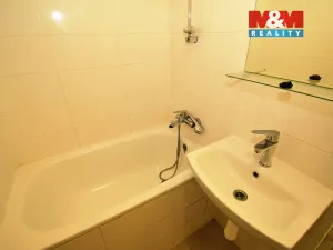 Prodej bytu 1+kk, Ostrava - Moravská Ostrava, U Parku, 29 m2