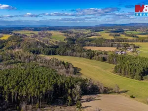 Prodej lesa, Všelibice - Přibyslavice, 23199 m2