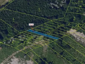 Dražba lesa, Havlíčkův Brod, 212 m2