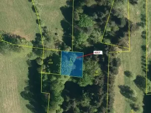 Dražba lesa, Zděchov, 435 m2