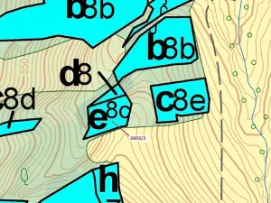 Dražba lesa, Zděchov, 1036 m2