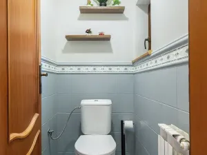 Prodej rodinného domu, Brušperk, Borošínská, 238 m2