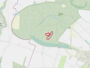 Prodej lesa, Přerov nad Labem, 2268 m2