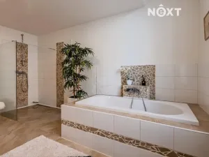 Prodej bytu 3+kk, Prostějov, Svatoplukova, 297 m2