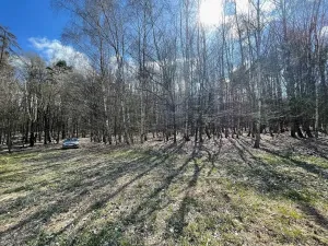 Prodej pozemku pro bydlení, Morašice, 870 m2