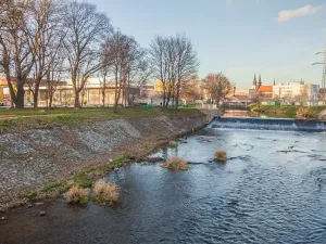 Pronájem bytu 1+kk, Brno, Tomáškova, 45 m2