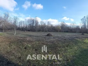 Prodej komerčního pozemku, Ostrava - Kunčičky, Rajnochova, 18754 m2