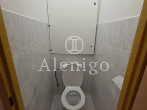 Pronájem bytu 2+1, Praha - Vokovice, Tuniská, 53 m2