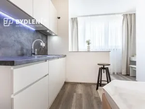 Pronájem bytu 1+kk, Praha - Střížkov, Děčínská, 22 m2
