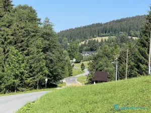 Prodej lesa, Krásná, 21810 m2