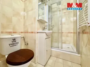 Prodej bytu 1+kk, Chomutov, Březenecká, 22 m2