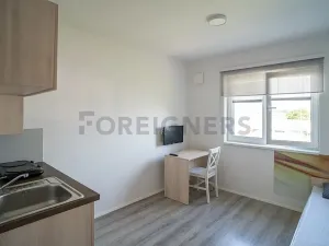 Pronájem bytu 1+kk, Pardubice, K Rozvodně, 22 m2