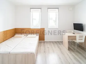 Pronájem bytu 1+kk, Pardubice, K Rozvodně, 26 m2