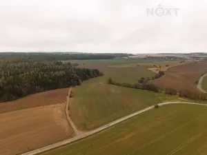 Prodej louky, Niva, 7301 m2