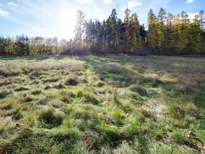Prodej pozemku pro bydlení, Daleké Dušníky, 1217 m2