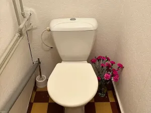 Prodej bytu 2+1, Frýdek-Místek, Frýdlantská, 55 m2