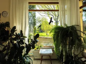 Prodej rodinného domu, Zdice, 294 m2