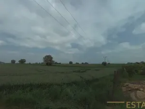 Prodej pole, Hrušky, 9415 m2