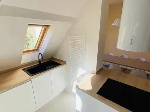 Pronájem bytu 3+1, Brno, Libušino údolí, 160 m2